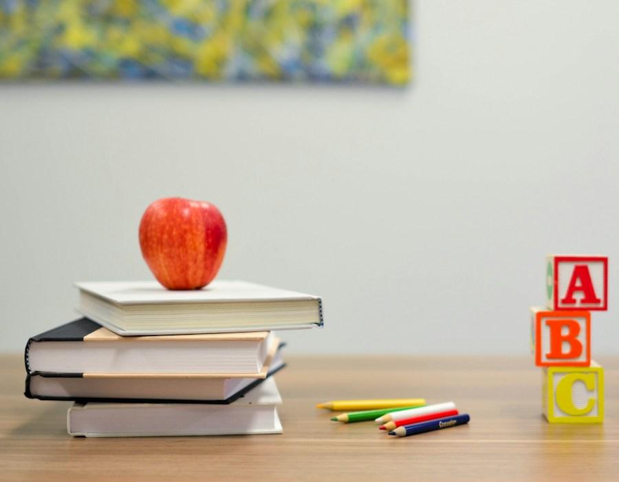 education_consultant work